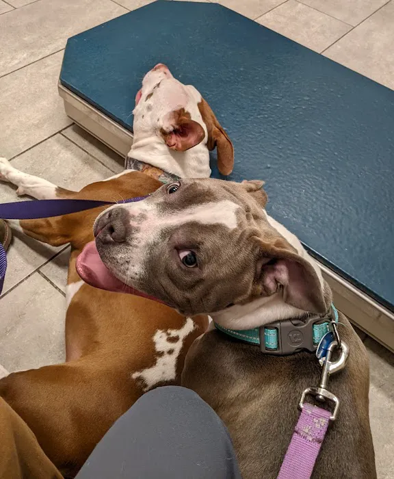 North Main Animal Clinic Picture 8