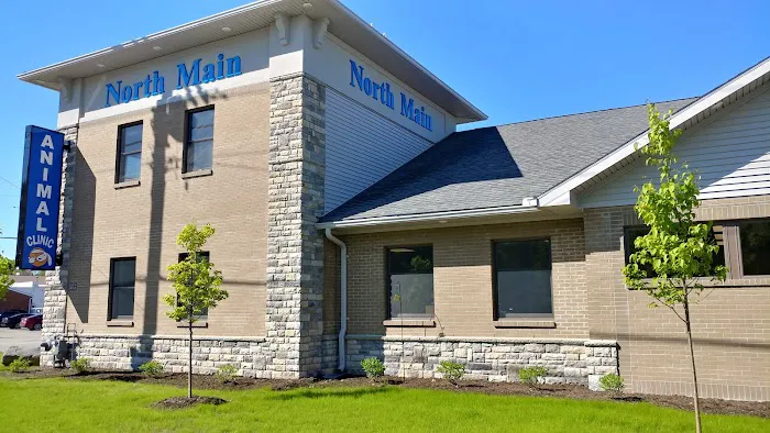 North Main Animal Clinic Picture 4