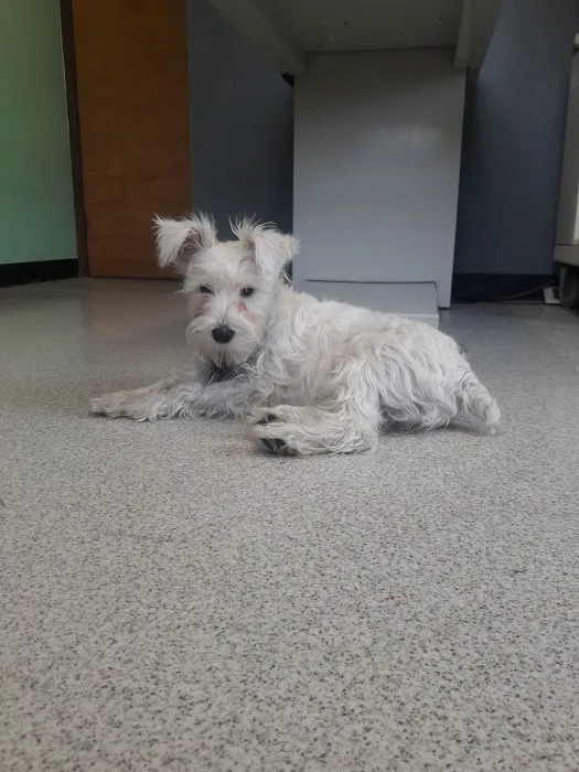 North Main Animal Clinic Picture 6