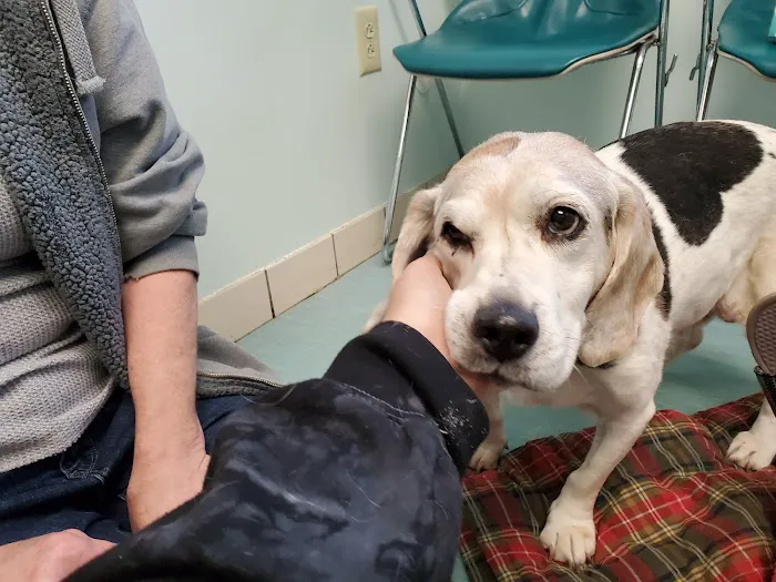 Shiloh Animal Hospital Picture 6