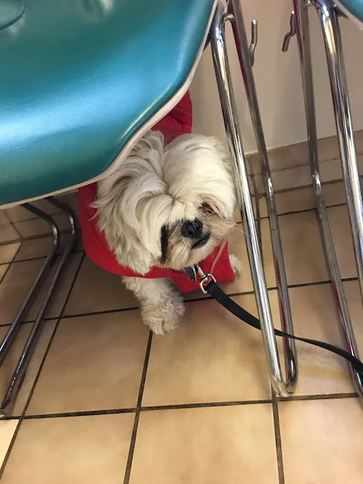 Shiloh Animal Hospital Picture 4