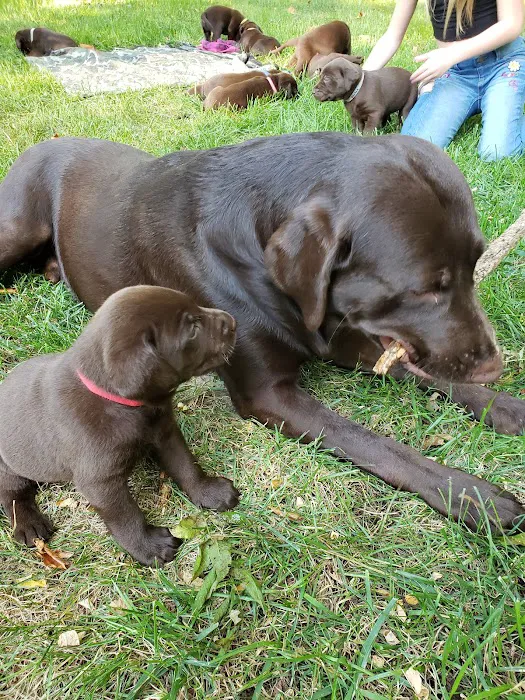Shiloh Animal Hospital Picture 3