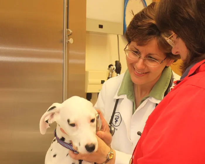 Hartzell Veterinary Service: Charles W. Hartzell, DVM and Sue Ann Hartzell, DVM Picture 2