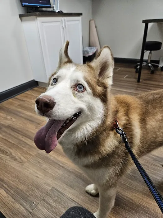 Animal Eye Institute of Dayton Picture 7