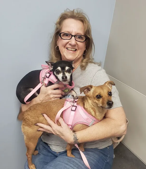 Dixie Veterinary Clinic Picture 7