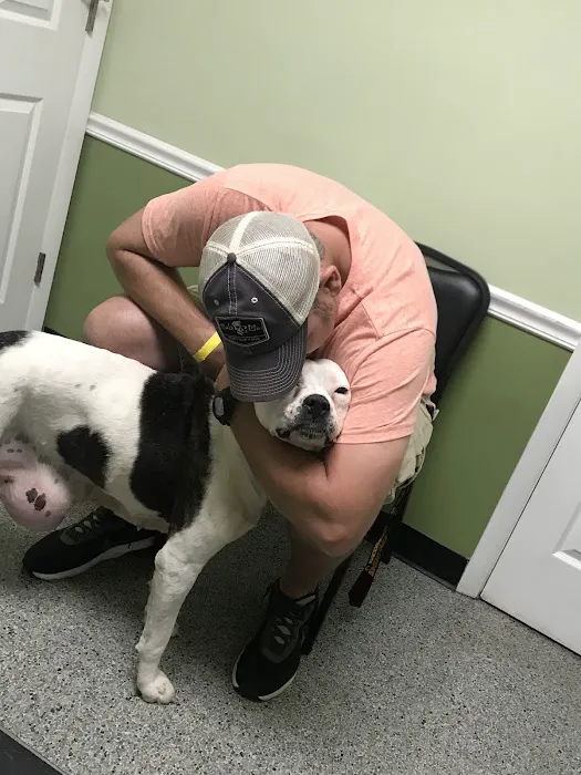 Dixie Veterinary Clinic Picture 2