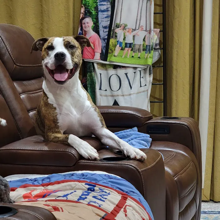 Dixie Veterinary Clinic Picture 10