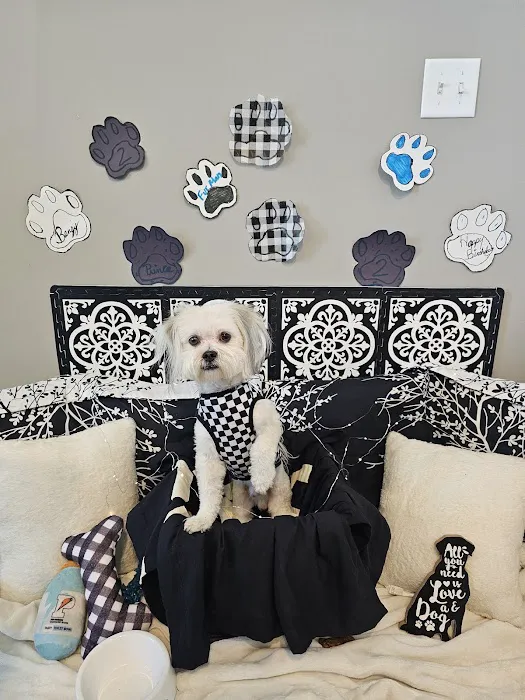 Woodridge Veterinary Hospital Picture 2