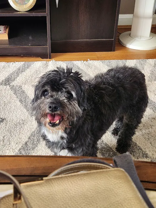 Woodridge Veterinary Hospital Picture 9