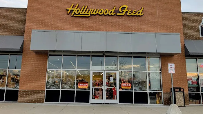 Hollywood Feed Picture 4