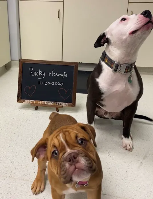 Liberty Veterinary Hospital Picture 1