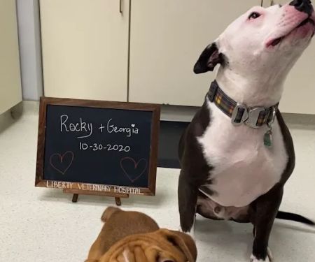 Liberty Veterinary Hospital