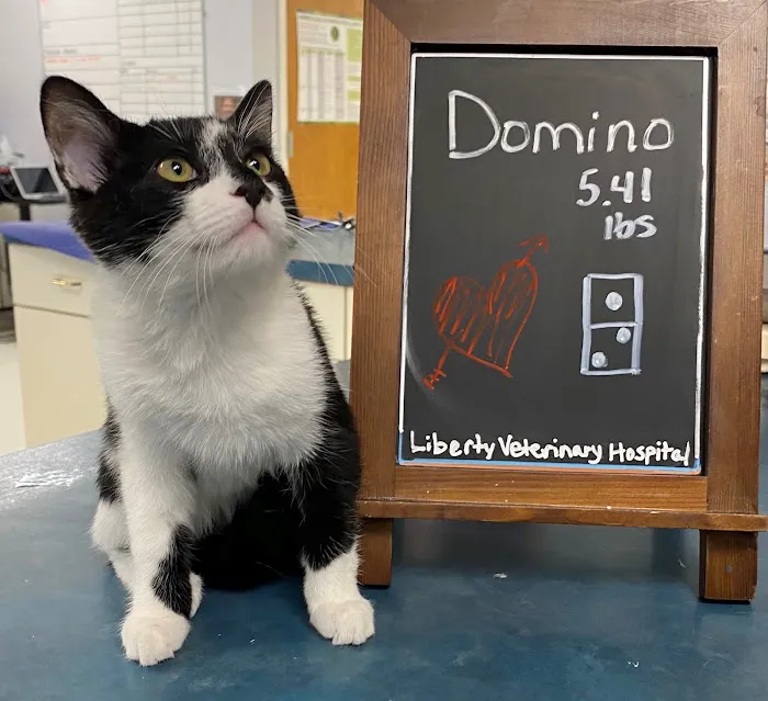 Liberty Veterinary Hospital Picture 4