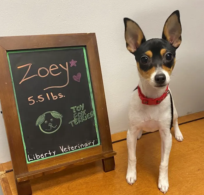 Liberty Veterinary Hospital Picture 10