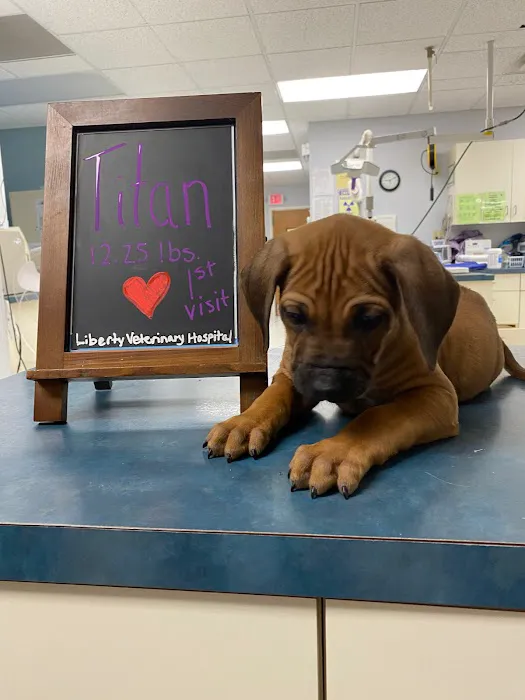 Liberty Veterinary Hospital Picture 5