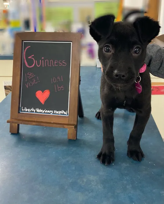 Liberty Veterinary Hospital Picture 6