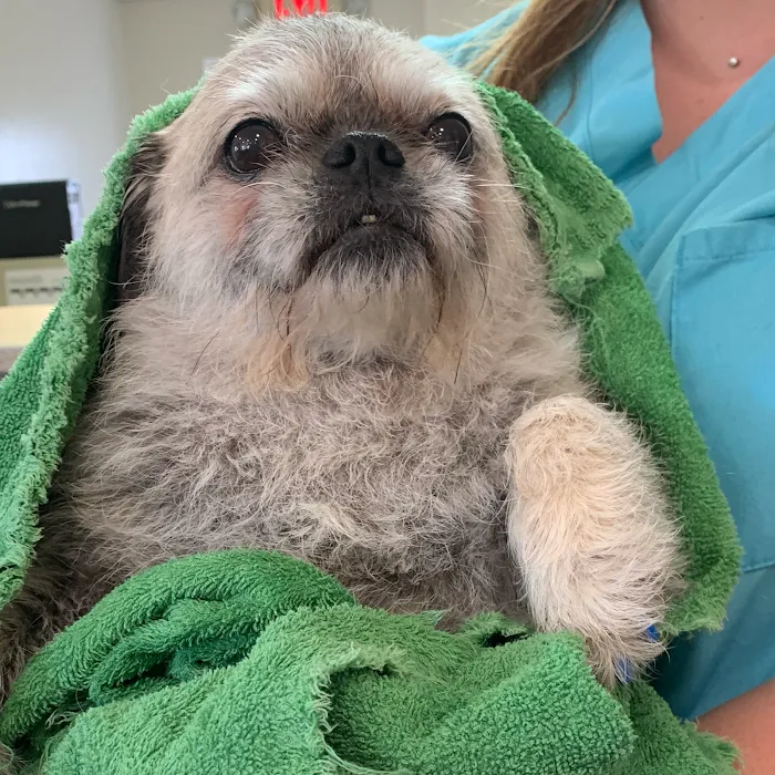 West Chester Veterinary Center Picture 7