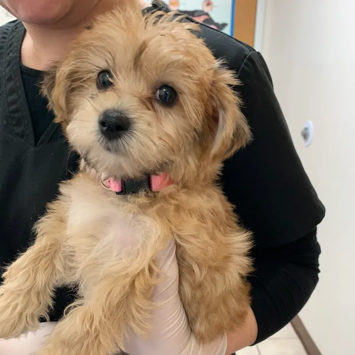 West Chester Veterinary Center Picture 5