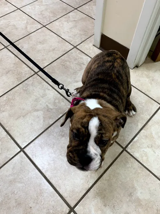 West Chester Veterinary Center Picture 8