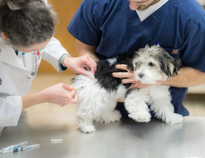 West Chester Veterinary Center Picture 1
