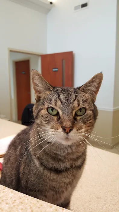 Pfister Animal Hospital Picture 2