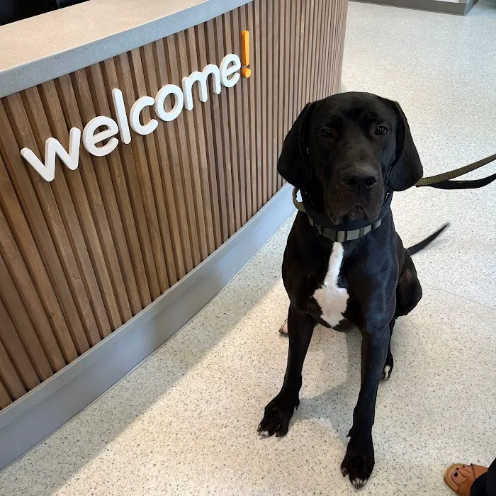 AcutePet Urgent Care Picture 8