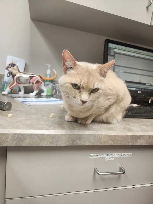 West Chester Veterinary Care (WCVC) Picture 8