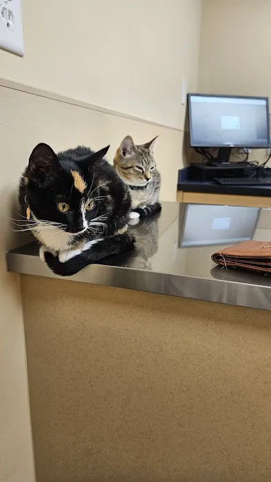 Noah's Ark Animal Clinic of Springdale Picture 5