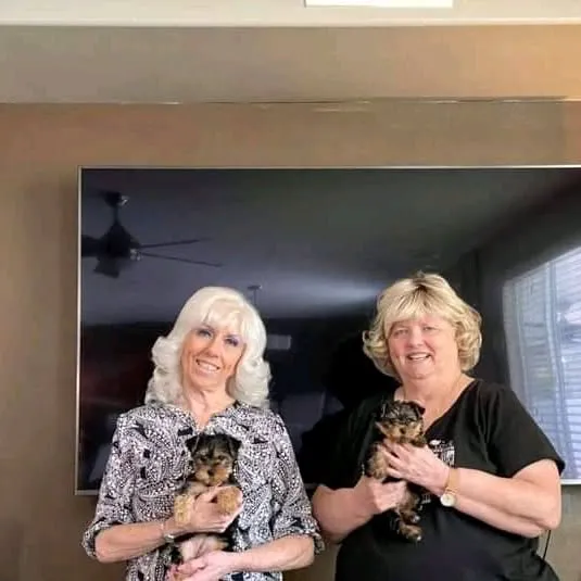 Lukyyorki Picture 3