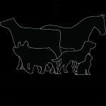 Western Ohio Veterinary Services - Dr. Preston Deeter