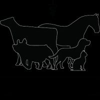 Western Ohio Veterinary Services - Dr. Preston Deeter ico