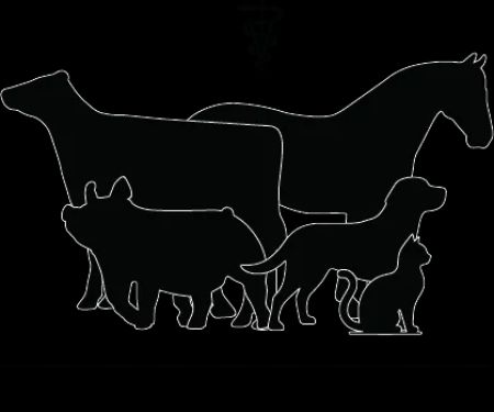 Western Ohio Veterinary Services - Dr. Preston Deeter