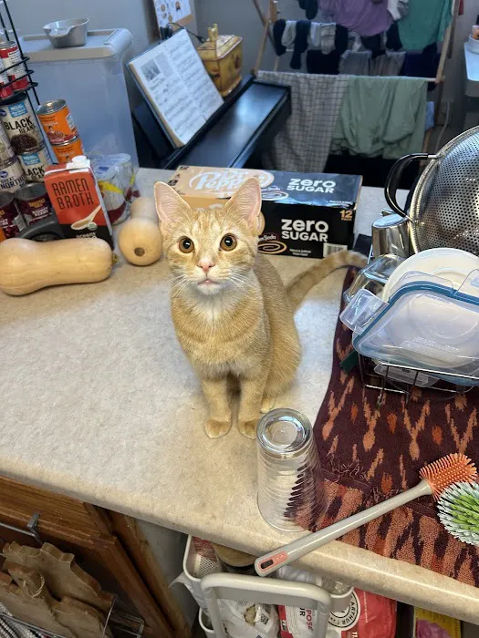 Redkey Veterinary Clinic Picture 3