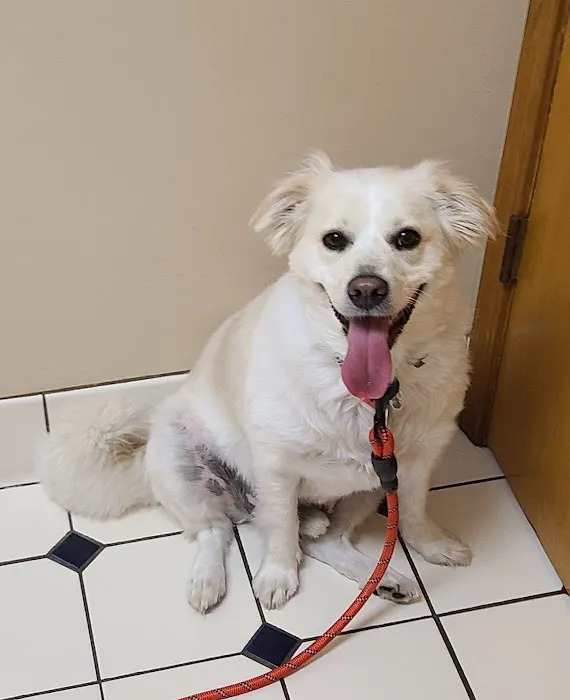 Redkey Veterinary Clinic Picture 8