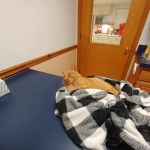 Redkey Veterinary Clinic