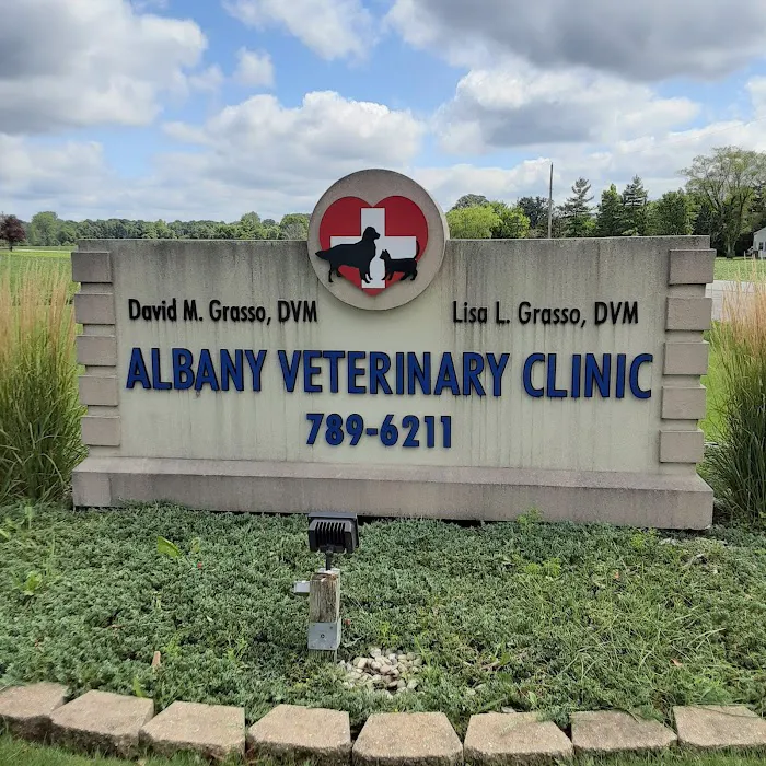 Albany Veterinary Clinic Inc. Picture 5