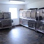 Portland Veterinary Clinic