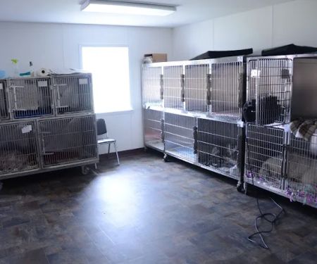 Portland Veterinary Clinic