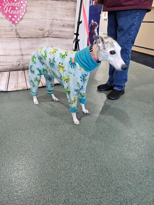 Noah's Caring Hands Animal Hospital at Geist Picture 9