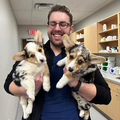 Geist Pet Wellness Clinic Picture 6