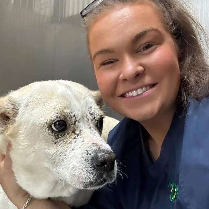 Geist Pet Wellness Clinic Picture 3