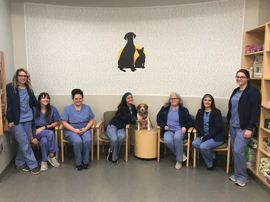 Geist Pet Wellness Clinic Picture 8