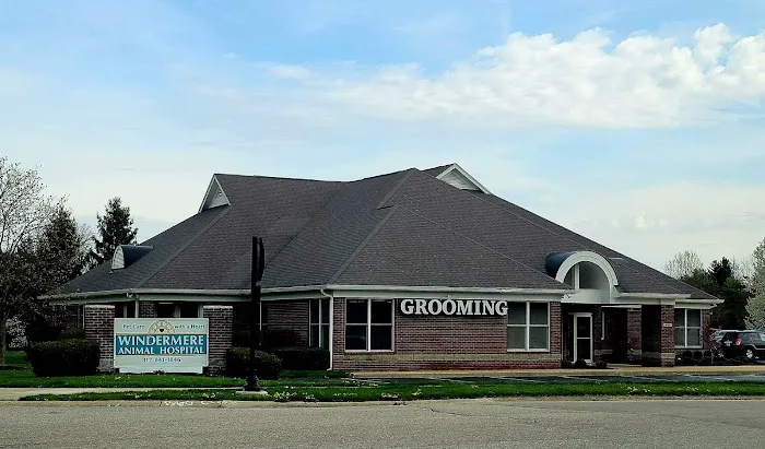 Windermere Animal Hospital Picture 2