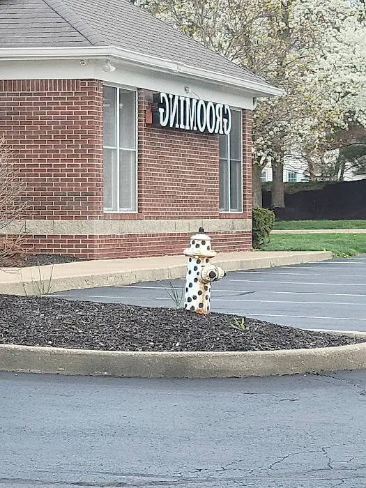 Windermere Animal Hospital Picture 6