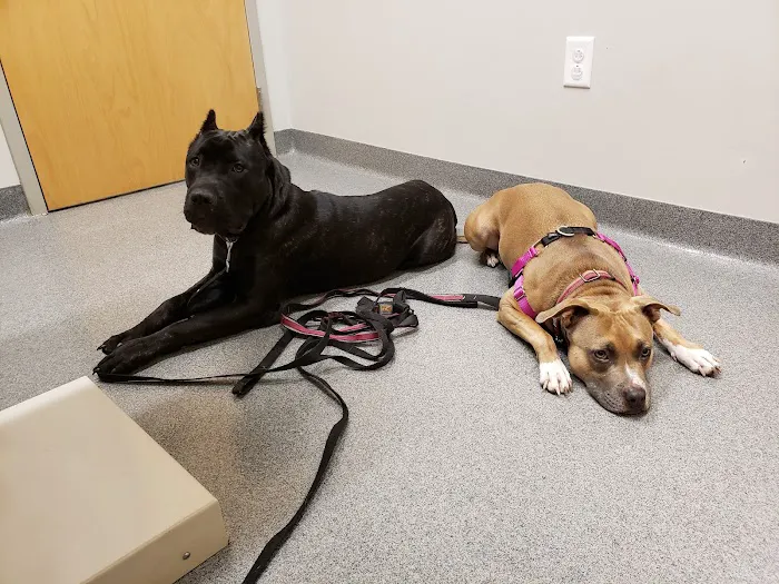 Binford Pet Wellness Clinic Picture 6