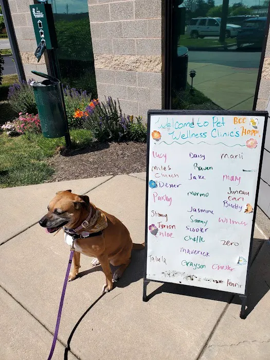 Binford Pet Wellness Clinic Picture 1