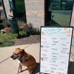 Binford Pet Wellness Clinic