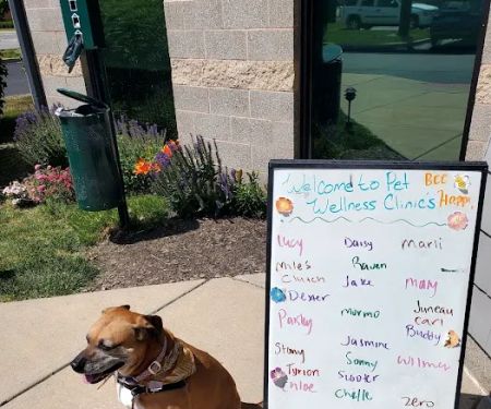 Binford Pet Wellness Clinic