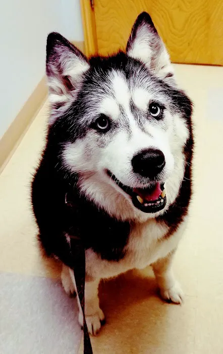 Binford Pet Wellness Clinic Picture 8