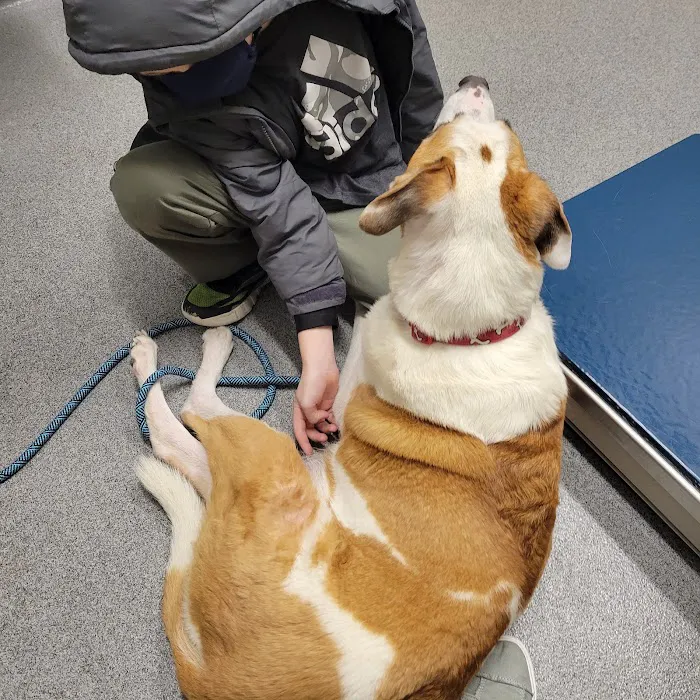 Binford Pet Wellness Clinic Picture 10